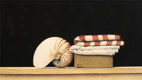 Wim Blom-Shell and cloths Charcoal and water colour 35 x 52 cm- 