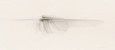 Wim Blom - 209- Eagle Feathr.2012  9” x 20”